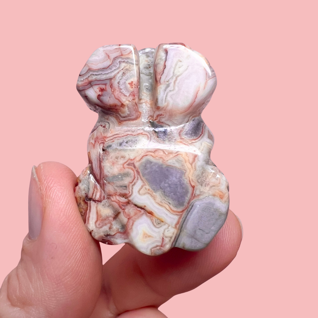 crazy lace agat frø - vælg din egen