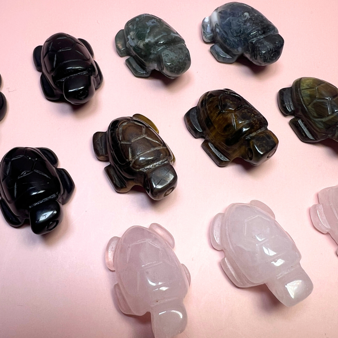 mini skildpadde - flere valgmuligheder