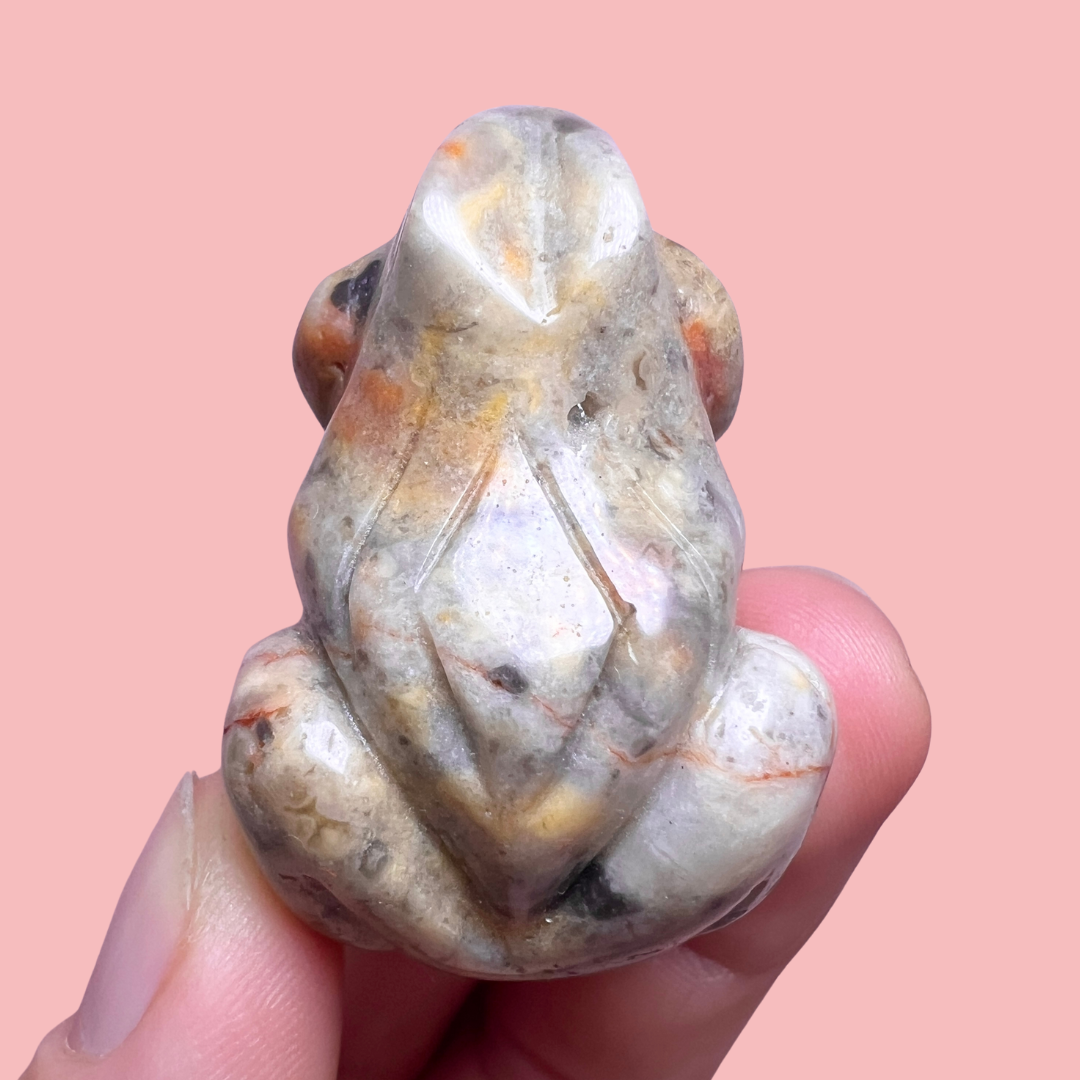 crazy lace agat frø - vælg din egen