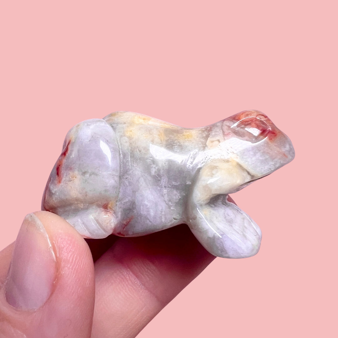 crazy lace agat frø - vælg din egen