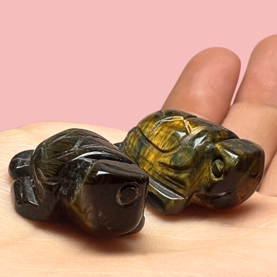 mini skildpadde - flere valgmuligheder