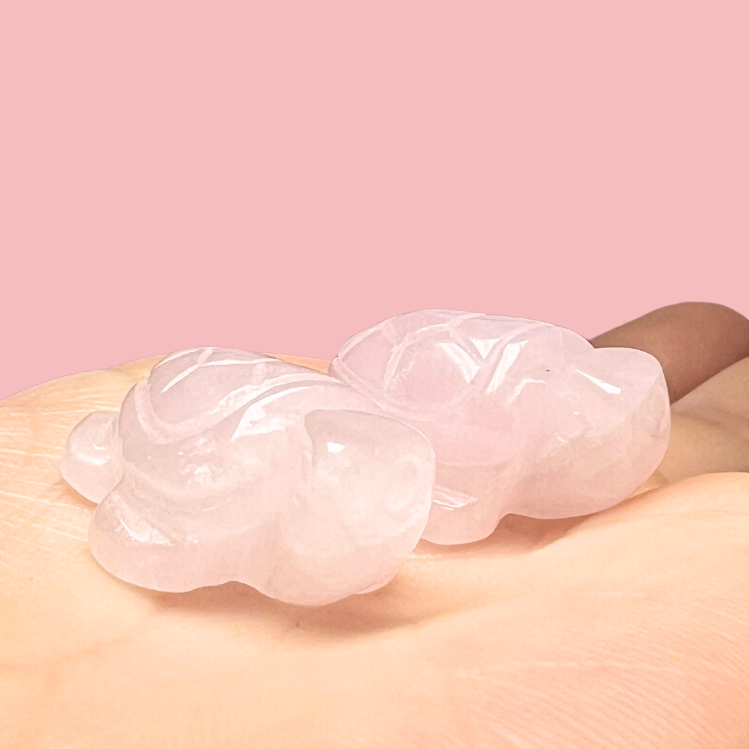 mini skildpadde - flere valgmuligheder