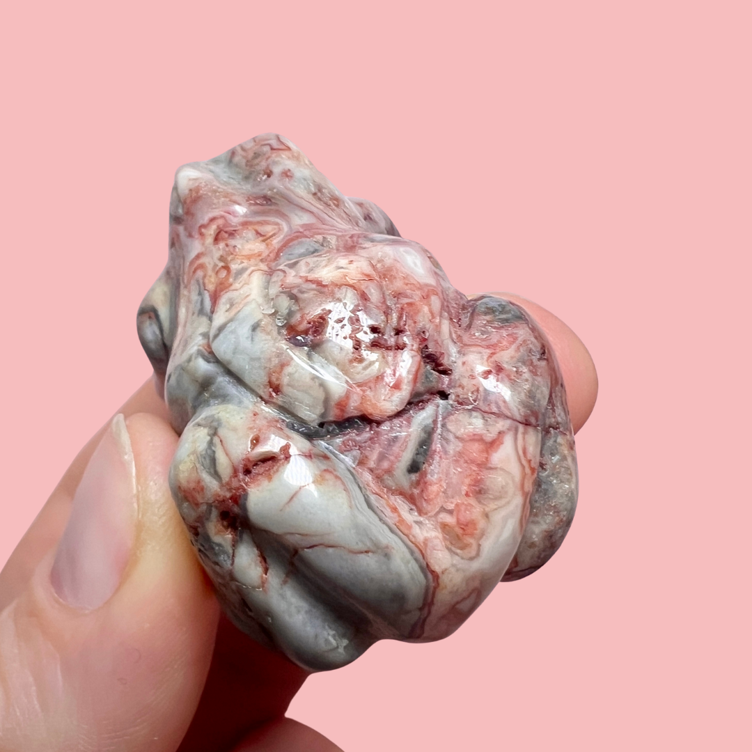 crazy lace agat frø - vælg din egen