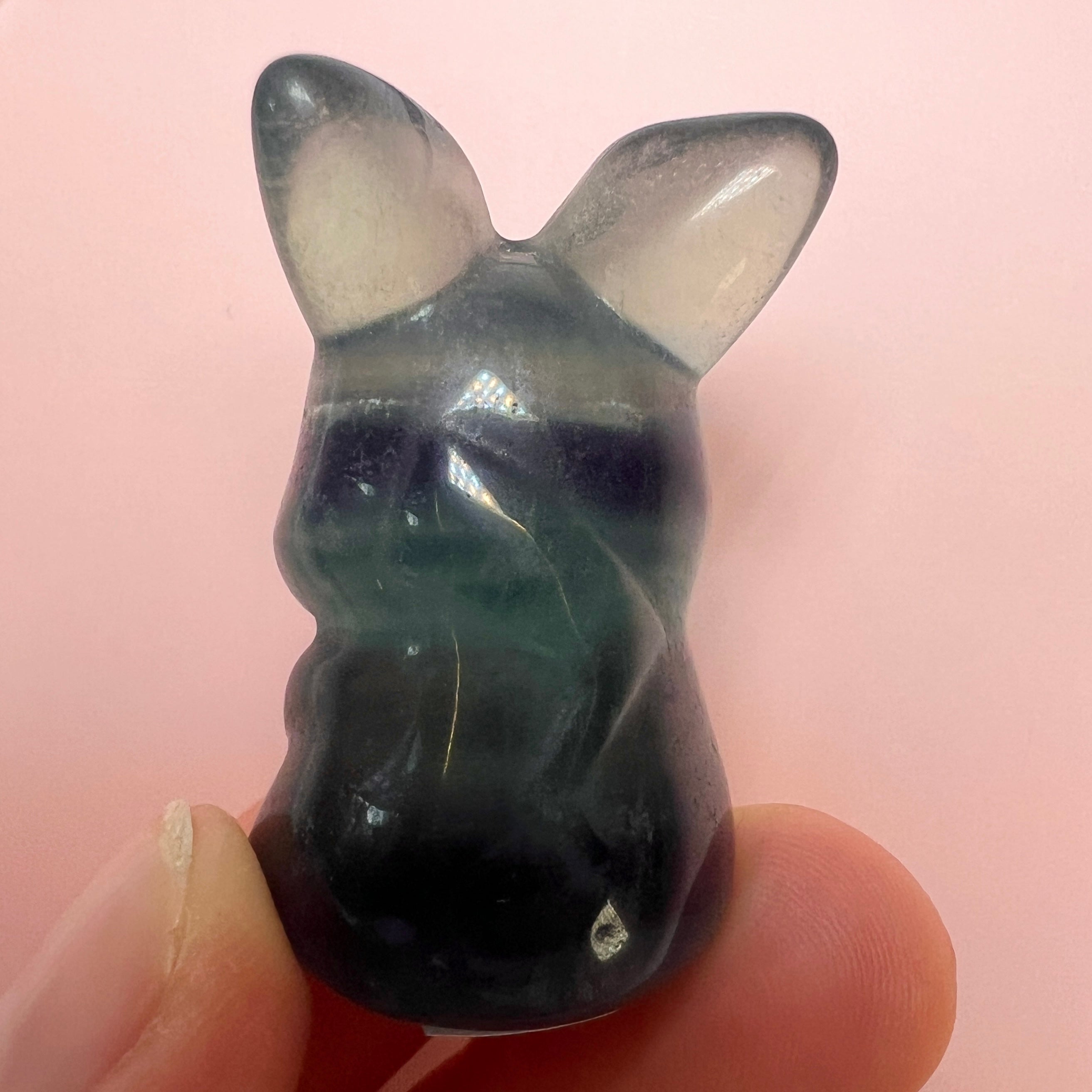 Regnbue fluorit kanin A